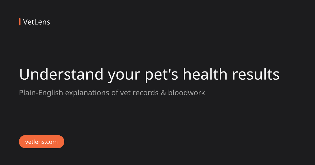 Convenia for Dogs: How Long It Lasts, Side Effects & the 65-Day Catch ...